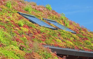 Cymer living roof systems